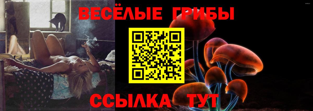 как найти закладки  Галлюциногенные грибы Psilocybe  Вход с VPN  Кизляр 